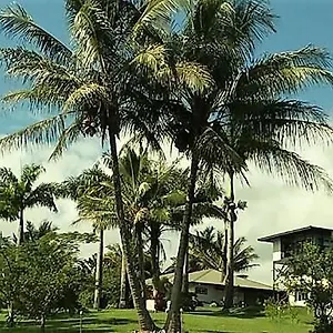 Island Goode's - Luxury Adult Only Near Hilo Papaikou
