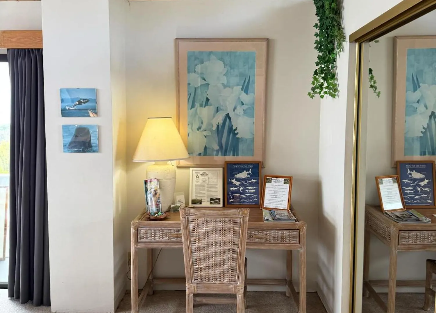 Bed & Breakfast Belle Vue Waimea B&B Corporation - Big Island Of Hawaii Stati Uniti